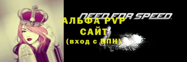 молекула духа Майский
