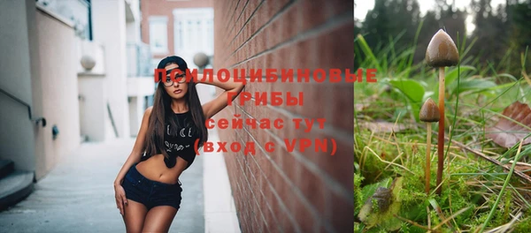 молекула духа Майский